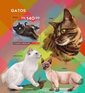 St Thomas - 2021 Birman Cat Breeds - Stamp Souvenir Sheet - ST210806b