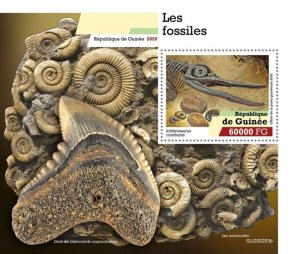 Guinea - 2020 Fossils on Stamps - Stamp Souvenir Sheet - GU200203b