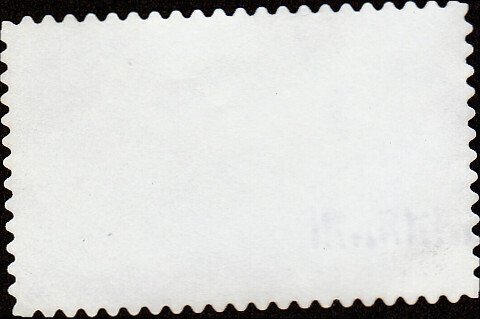 # C137 USED MT. MCKINLEY