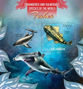 UGANDA - 2013 - Fishes - Perf Souv Sheet - Mint Never Hinged