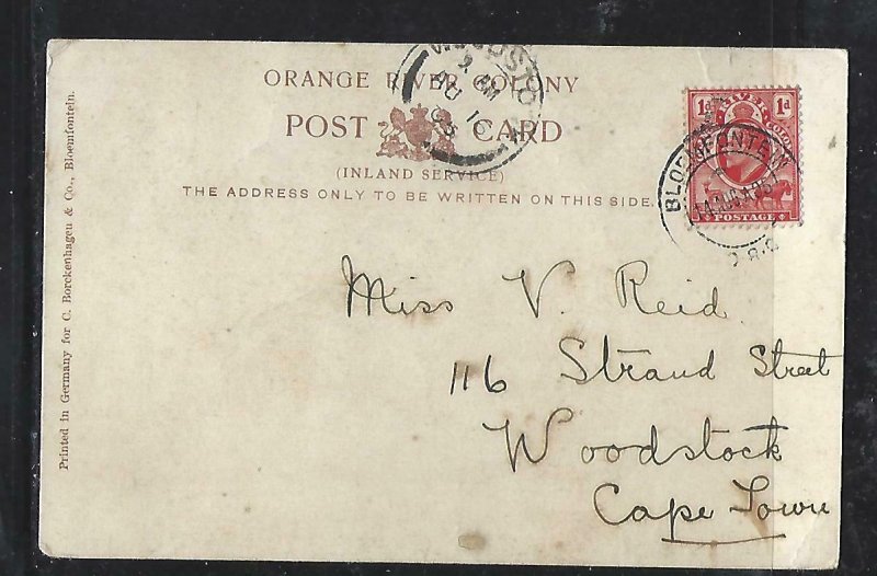 ORANGE RIVER COLONY COVER  (P0612B) 1905 KE 1D ANIMALS ON PPC BLOEMFONTAIN TO