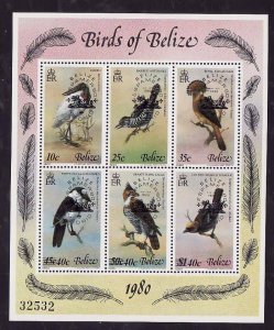 Belize-Sc#502- id9-unused NH sheet-Birds-Surcharged-Espamer '80-1980-