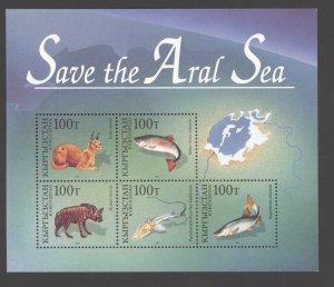 1996 KYRGYSTAN Sc 107 Save the Aral Sea MNH