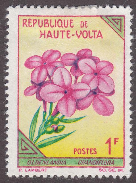 Burkina Faso 112 Oldenlandia Grandiflora 1963