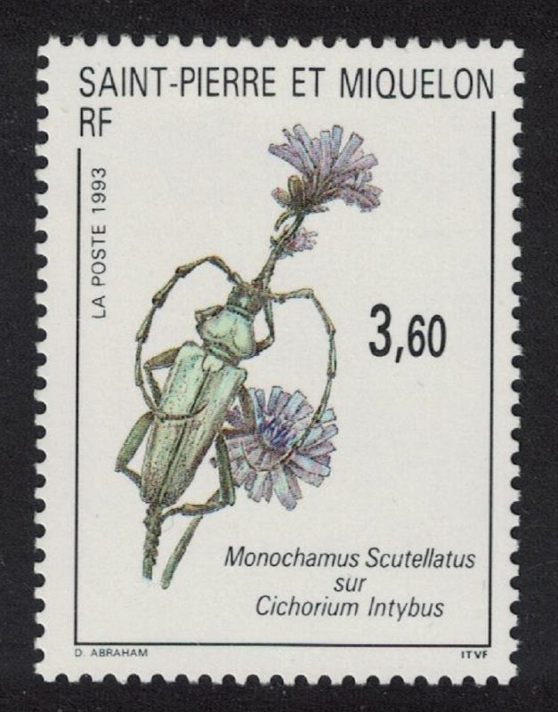 St. Pierre and Miquelon Longhorn Beetle on Cichorium intybus 1993 MNH SG#693