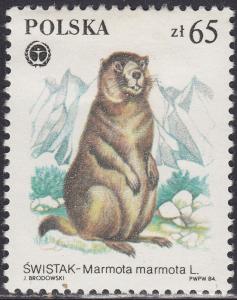 Poland 2655 Protected Animals, Marmota Marmota 65.00zł 1984