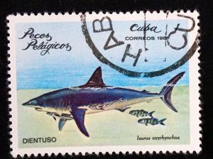 CUBA Sc# 2385  ARCHIPELAGO WILDLIFE marine fish   1c  1981 used cto