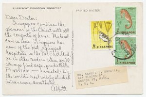 Postcard / Postmark Singapore 1962 Dear Doctor - Abbott - Sea Horse