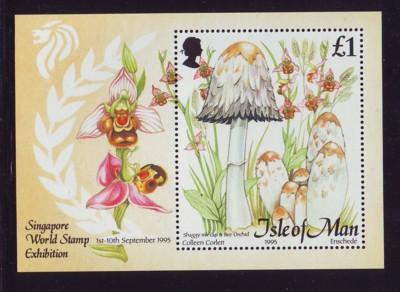 Isle of Man Sc 655 1995 Mushrooms stamp souvenir sheet mint NH