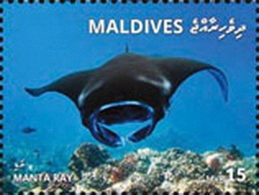 Z08 MLD1801local04a Maldives 2018 Manta stingray MNH ** Postfrisch