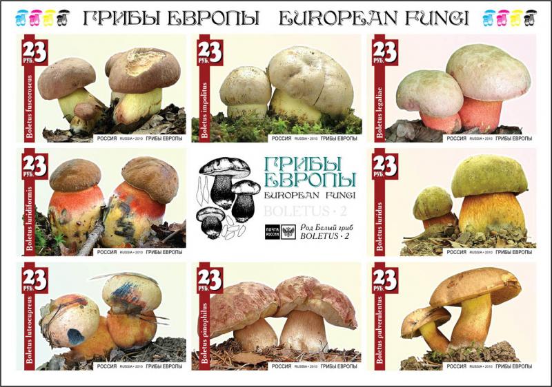 RUSSIA LOCAL SHEET IMPERF MUSHROOMS