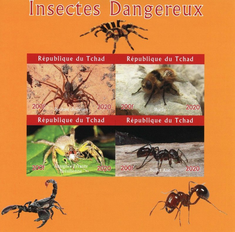 Chad Spiders Stamps 2020 MNH Dangerous Insects Bullet Ants Botfly 4v IMPF M/S