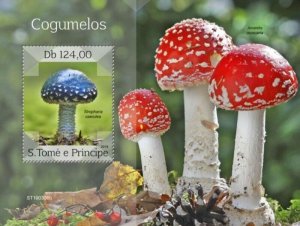 St Thomas - 2019 Mushrooms - Stamp Souvenir Sheet - ST190306b