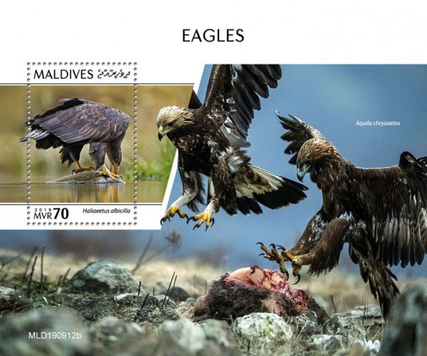 MALDIVES - 2019 - Eagles - Perf Souv Sheet - MNH