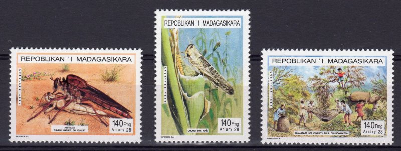 Madagascar 1995 Sc# 1299/1301  LOCUSTS Set (3) Perforated MNH