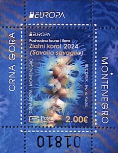 Montenegro 2024, Europa, marine life s/s, MNH