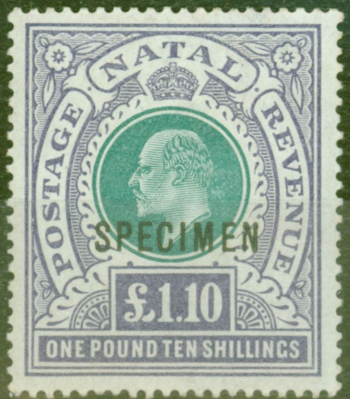 Natal 1902 £1.10s Green & Violet Specimen SG143s V.F Lightly Mtd Mint