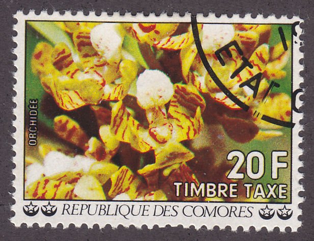 Comoro Islands J11 Flowers 1977