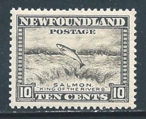 Newfoundland #193 NH 10c Salmon Leaping Falls