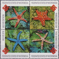 MICRONESIA 1996 - Scott# 240 Seastar Set of 4 NH