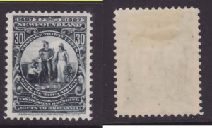 Newfoundland-Sc#72- id20-unused og HH 30c slate Colony Seal-1897-