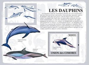 COMOROS - 2009 - Dolphins - Perf Souv Sheet - Mint Never Hinged