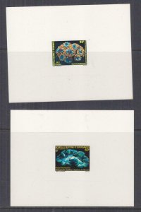 NEW CALEDONIA, 1979-1980 Fluorescent Corals pair,  EPREUVE DE LUXE