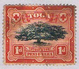 Tonga 40 Used Ovava tree 1897 (BP31617)