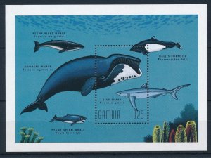 [32209] Gambia 1996 Marine life whales shark porpoise Souvenir Sheet MNH