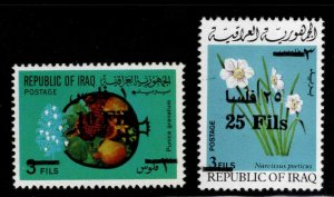 Iraq Scott 725-726 Mint Never Hinged MNH** Surcharged set