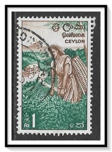 Ceylon #379 Tea Picker Used