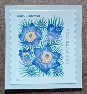 United States #5675 (58c) Pasqueflower coil MNH (2022)