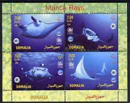 SOMALIA - 2004 - Manta Ray - Perf 4v Sheet - MNH - Private Issue