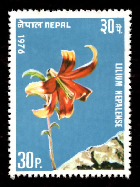 Nepal 1976 Nepalese Lily Flowers 30p Scott.321 MNH