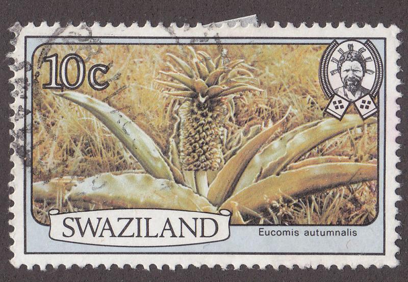 Swaziland 353  Eucomis Autumnalis 1980