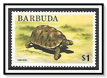 Barbuda #184 Tortoise MH