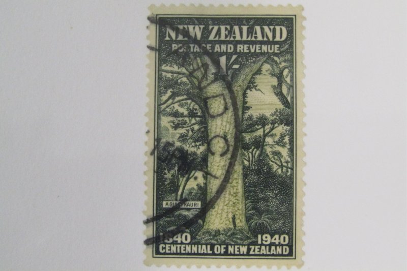 New Zealand 241