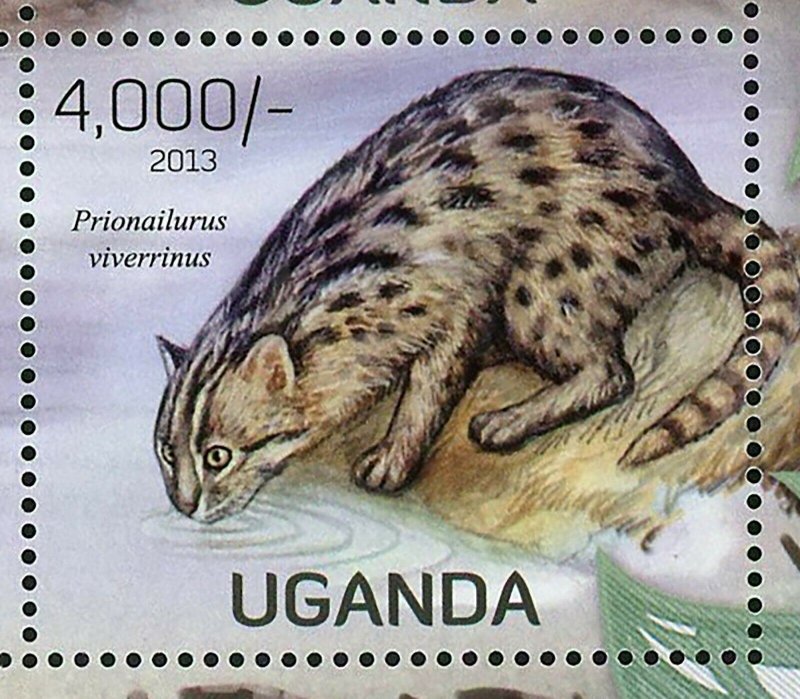 Wild Cats Stamp Prionailurus Rubiginosus Oreailurus Uncia S/S MNH #3045-3048