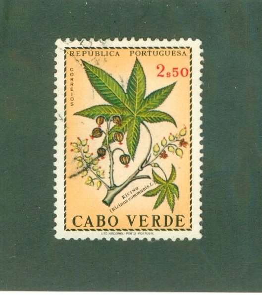 CAPE VERDE 348 USED BIN $0.50