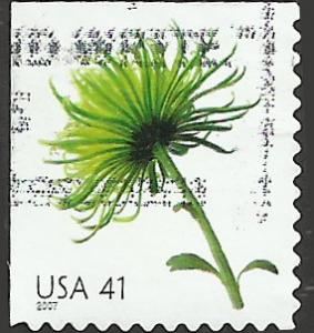 # 4176 USED CHRYSANTHEMUM
