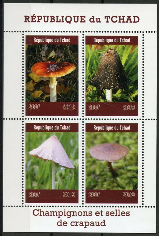 Chad Stamps 2019 MNH Mushrooms & Toadstools Champignons Fungi Nature 4v M/S 