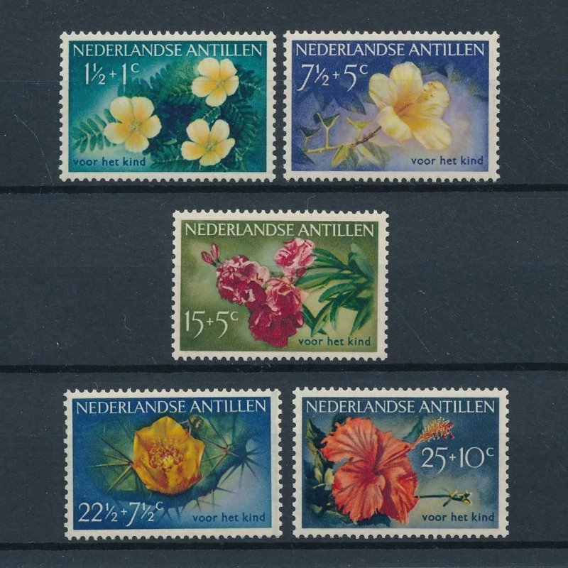 [NA248] Netherlands Antilles 1955 Flora flower blumen cactus  MNH