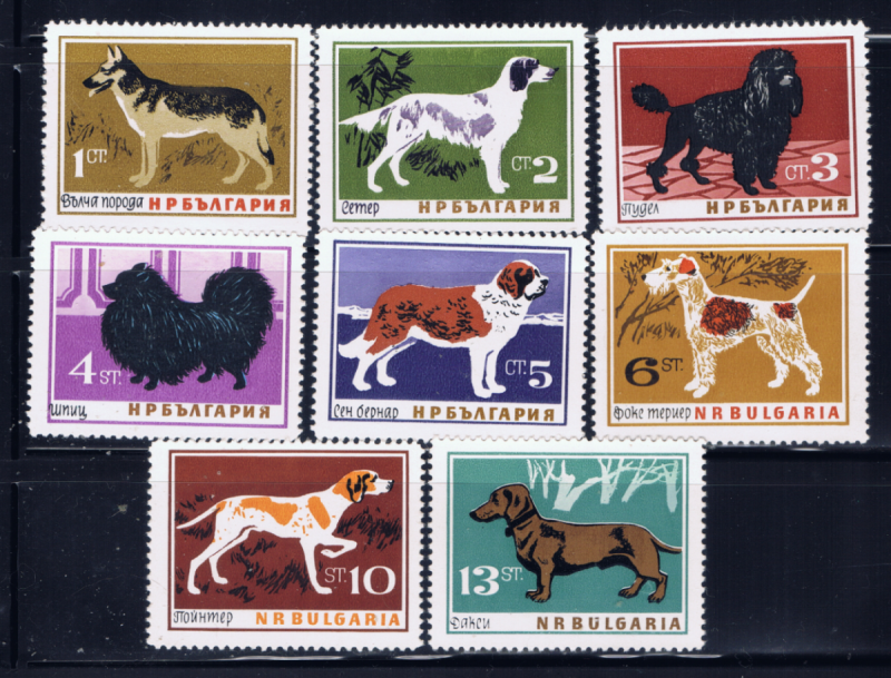 Bulgaria 1348-55 MNH 1964 Dogs set