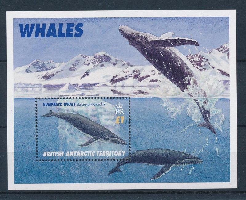 [27135] British Antarctic Territory 1996 Marine Life Whales MNH Sheet