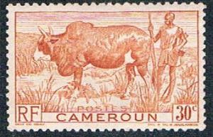 Cameroun 305 MLH Zebu and herder (BP5422)