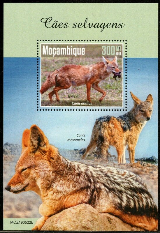 MOZAMBIQUE 2019  WILD DOGS SOUVENIR SHEET MINT NEVER HINGED