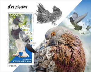 C A R - 2022 - Pigeons - Perf Souv Sheet - Mint Never Hinged