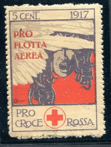 Pro Flotta Aerea erinnofilo Red Cross 1917