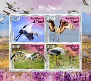 Chad - 2020 Storks, Wood, Saddle-billed - 4 Stamp Sheet - TCH200413a