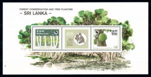 [65307] Sri Lanka 1981 Flora Trees Baumen Conservation Souvenir Sheet MNH